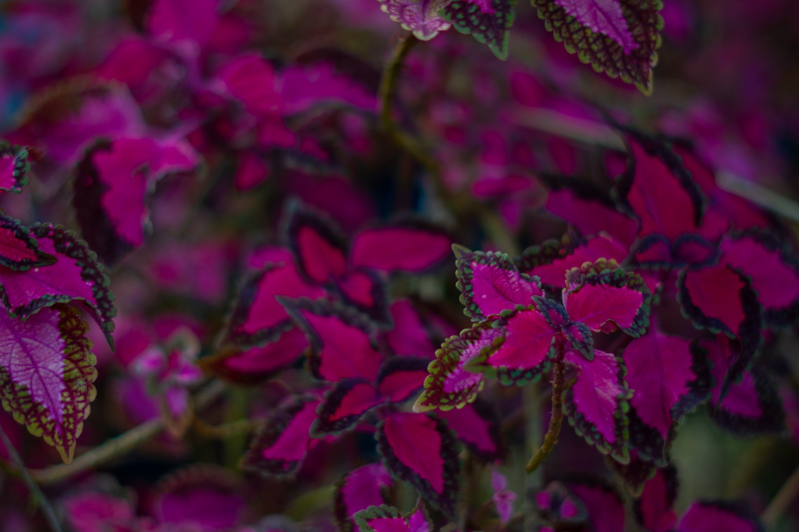 WhatsApp Image 2025 04 30 at 22504 PM 8