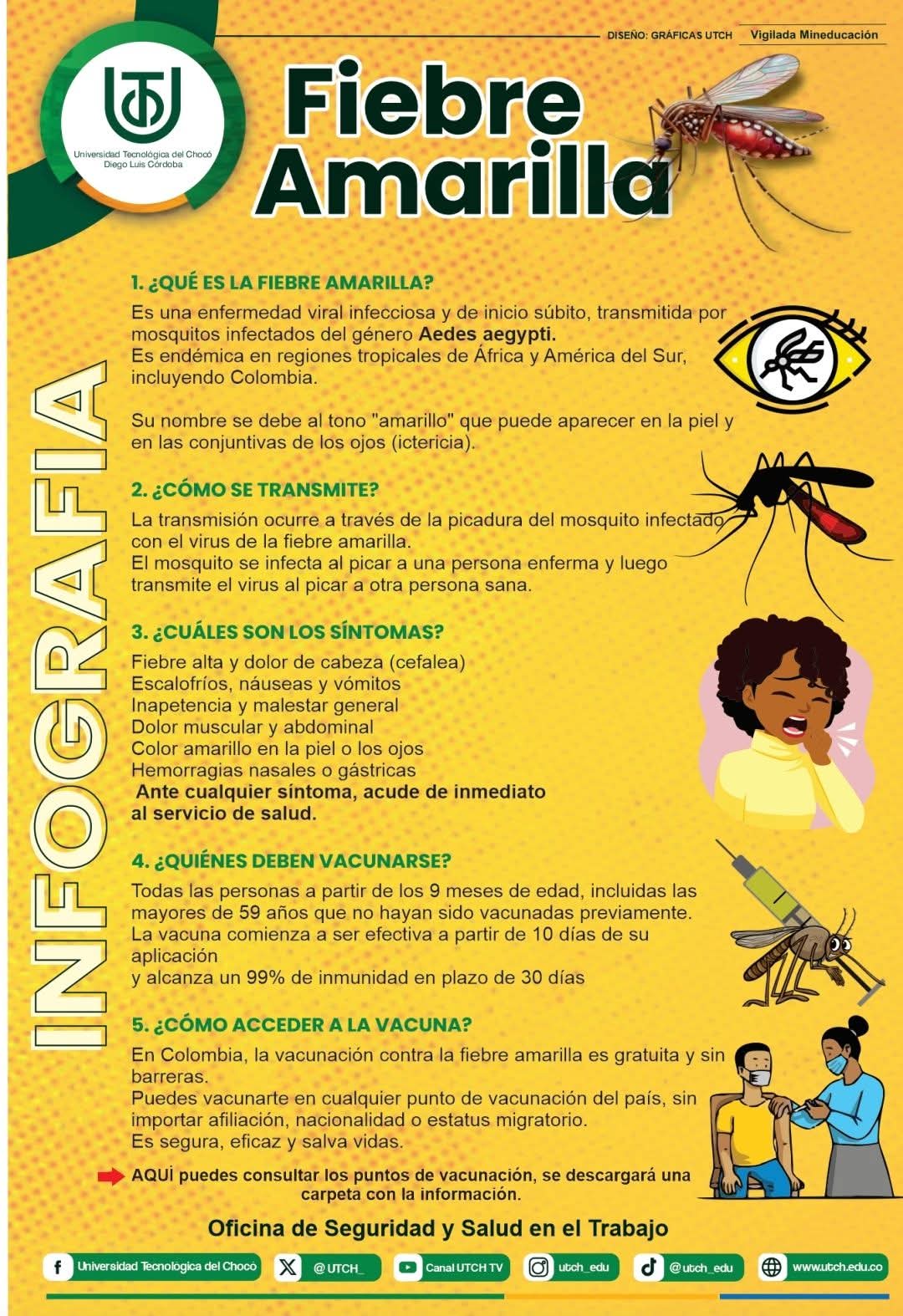 CONOZCA SOBRE LA FIEBRE AMARILLA