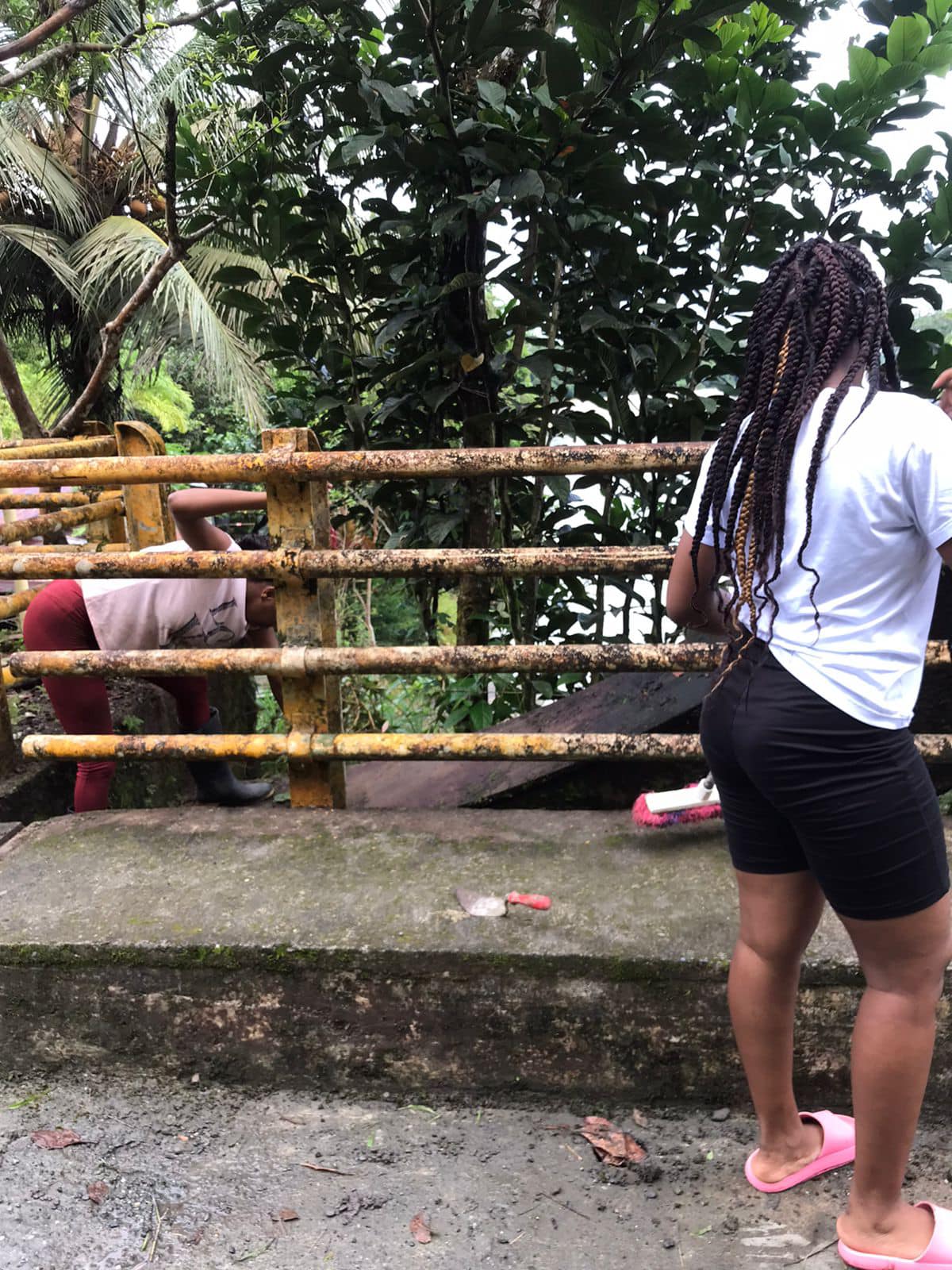 451574676 814456794152093 3465513157290679775