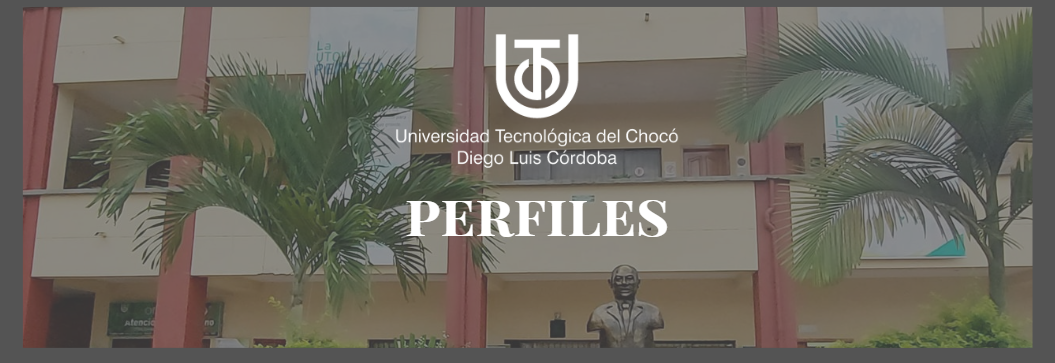 Captura de pantalla 2024 06 20 170601