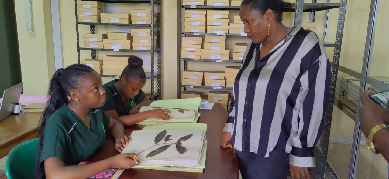 Imagen de WhatsApp 2024 04 25 a las 23.10.38 49f41030