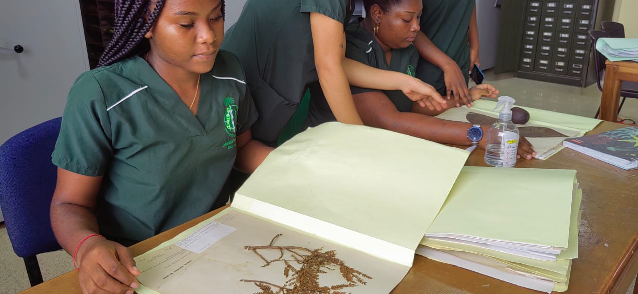 Imagen de WhatsApp 2024 04 25 a las 23.10.40 50619123