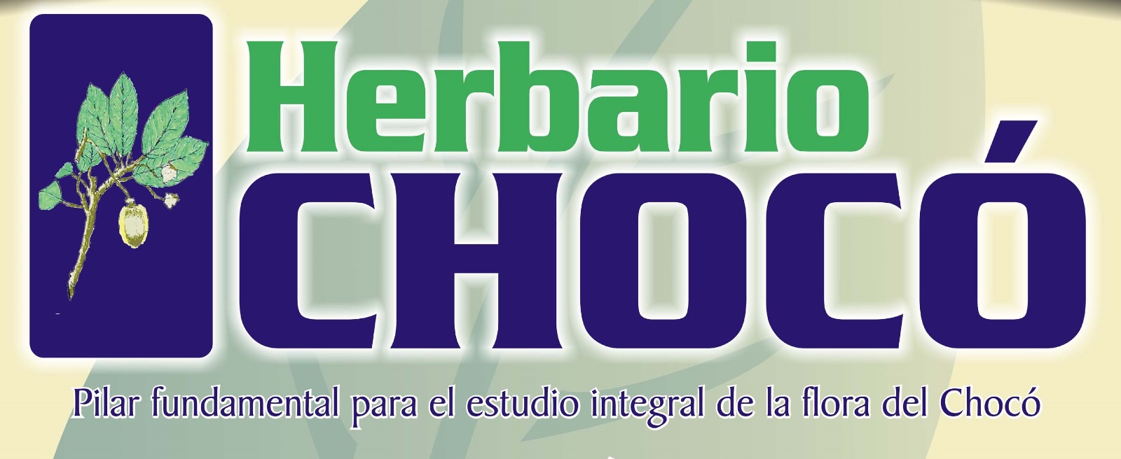 Imagen de WhatsApp 2024 04 26 a las 17.33.08 cc99fcb7