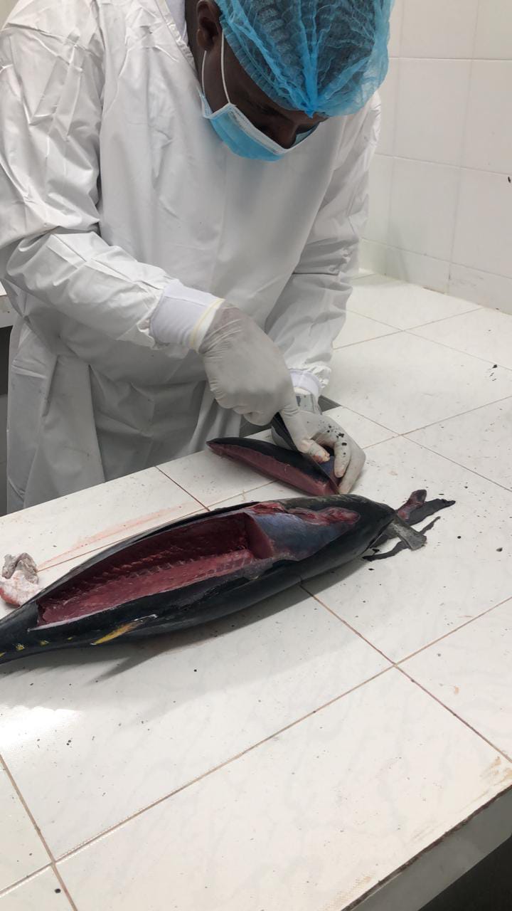 Imagen de WhatsApp 2024 05 03 a las 16.57.18 91131e7e