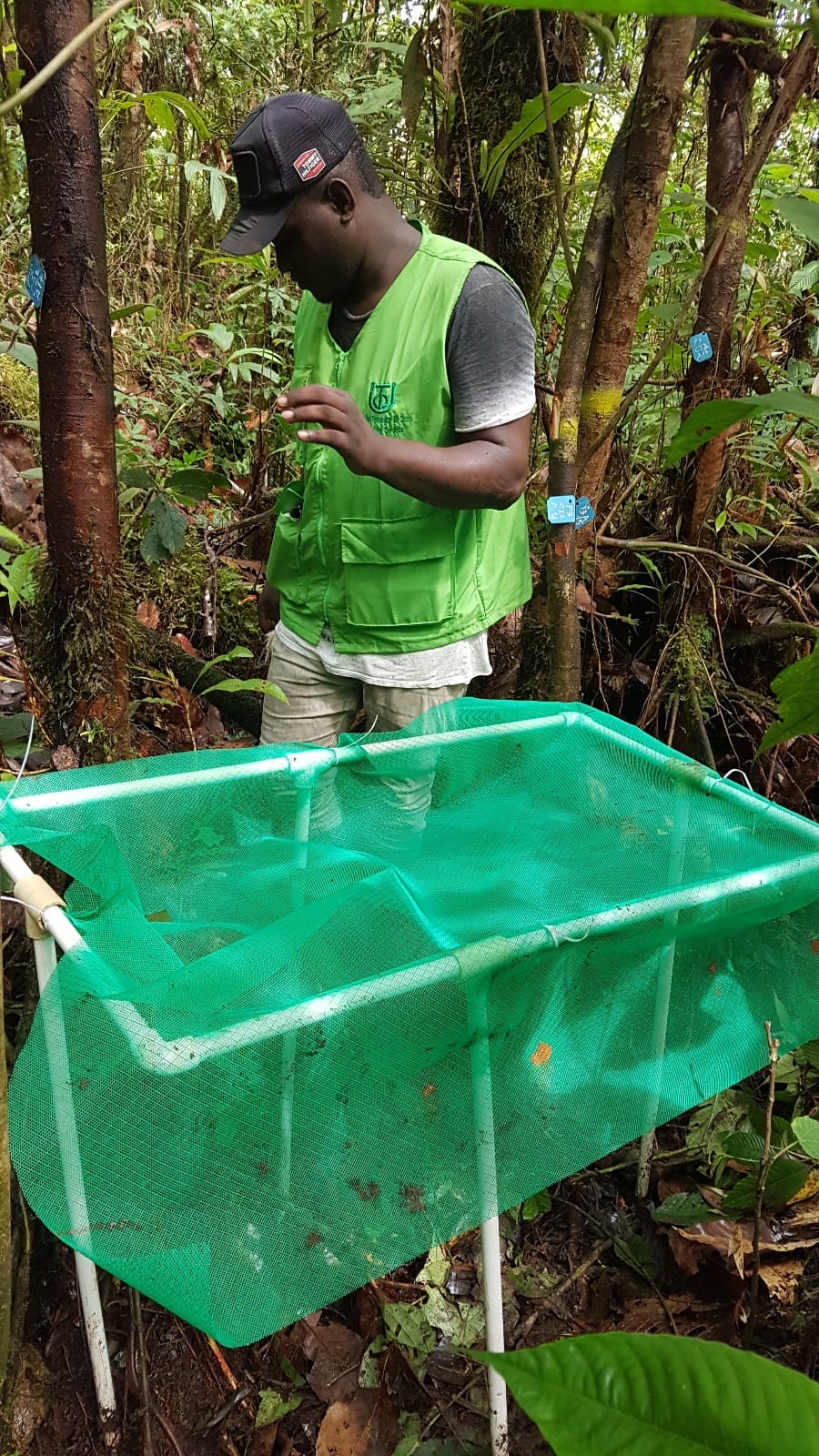 Imagen de WhatsApp 2024 07 16 a las 11.06.16 4a1ff39b