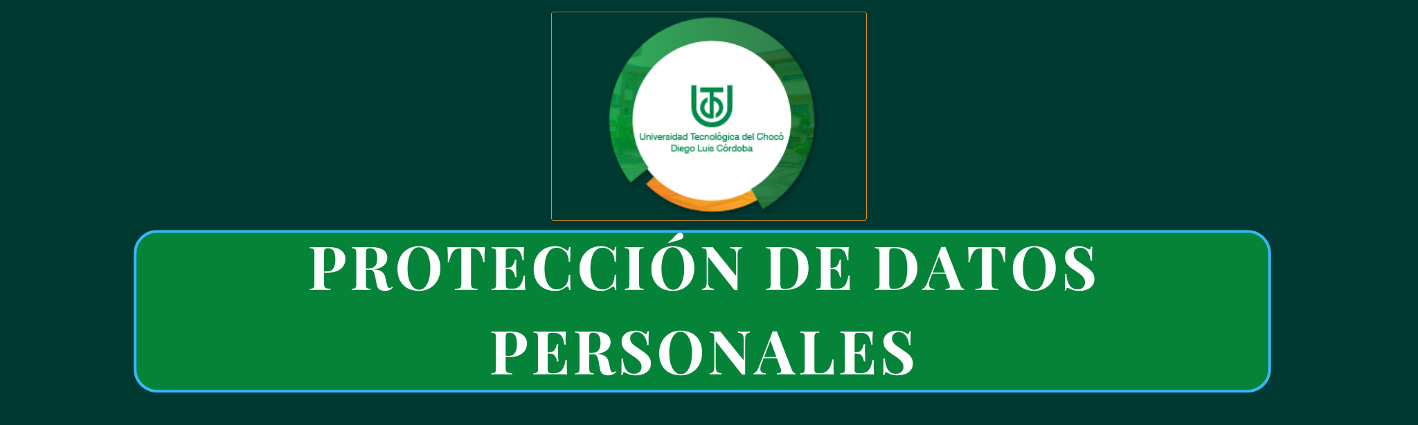 PRESENTACION DEL PROGRAMA 7