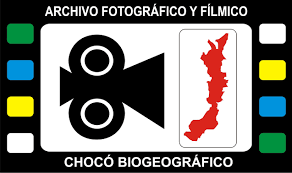 filmico