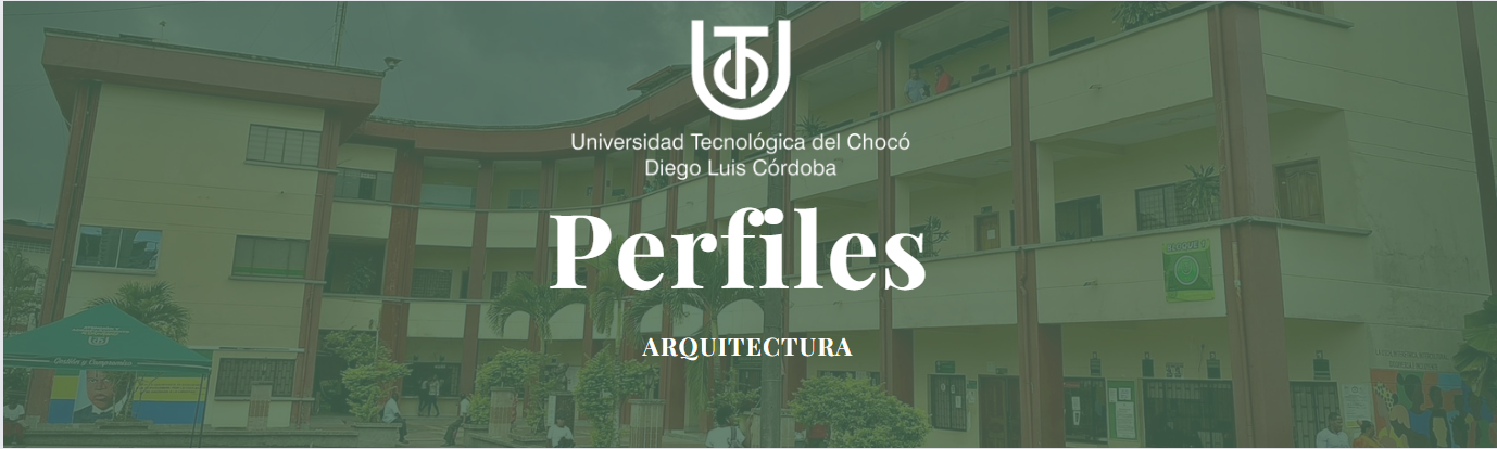 perfiles aarqui