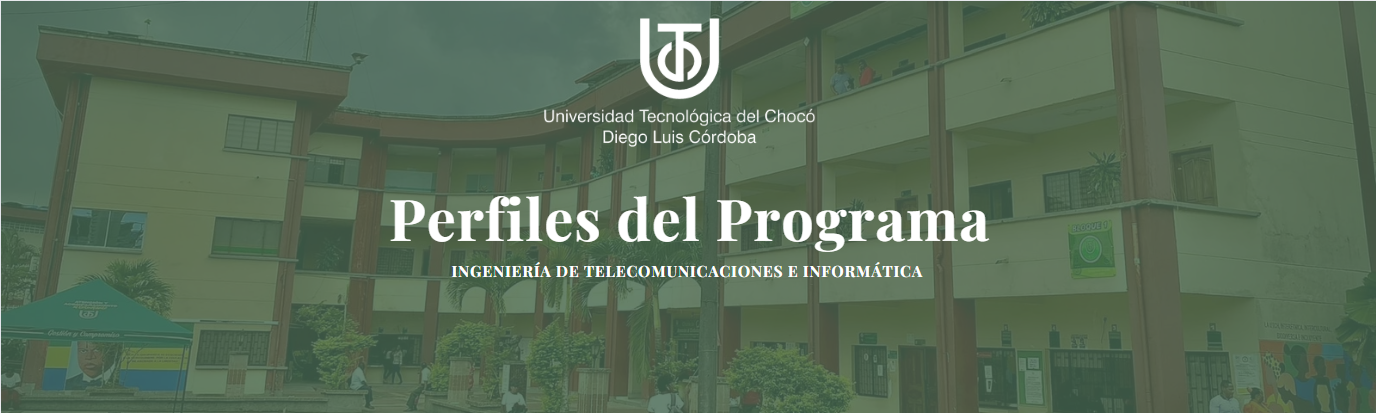 perfiles del 